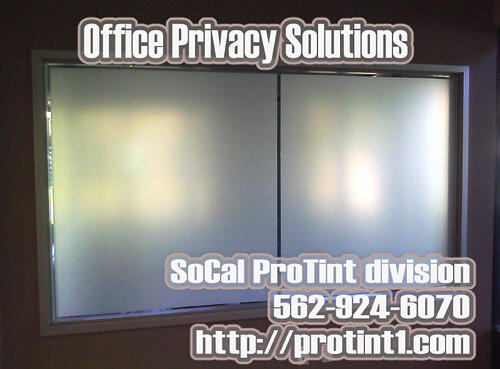 Socal White Frost Privacy Tint